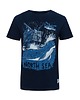 t-shirty męskie T - shirt "North Sea"