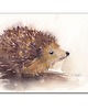 grafiki i ilustracje Jeż. Akwarela ręcznie malowana