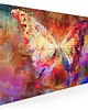 grafiki i ilustracje 70601 Obraz na płótnie MOTYL KOLOROWY 120x80