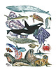 plakaty Plakat Zwierzęta Oceanu