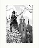 grafiki i ilustracje Wawel-magnolie-zdjęcie-w-passe-partout