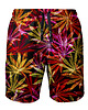 spodnie męskie Shorty Kąpielowe Męskie DR.CROW Green Hemp Red
