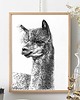 grafiki i ilustracje Lama