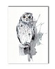 grafiki i ilustracje Grafika ręcznie malowana "Sowa"