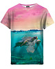 t-shirty dla chłopców T-shirt Boy DR.CROW Turtle