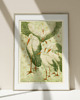 plakaty Plakat Vintage Obraz Grafika Green Birds