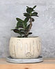doniczki Doniczka ceramiczna