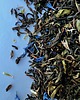 kuchnia - różne Herbata "Dusza Bergamotki" - Earl Grey