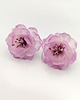 kolczyki z masy plastycznej Kolczyki sakura delikatne kwiaty półprzezroczyste handmade stal