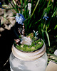 świeczniki i świece Świeca prezentowa "The Early Spring Story" z albumem- zapach przedwiośnia