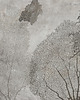 fototapeta Tree -  Fototapeta