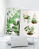grafiki i ilustracje Grafiki botaniczne | 50x70 cm