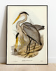 plakaty Plakat HERON