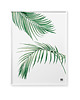 plakaty Plakat Liście Egzotyczne