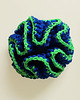 gumki do włosów FIORKA scrunchie Demi