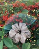 gumki do włosów Scrunchie Silver Touch