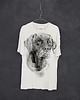 t-shirty męskie Labrador Dog Men's T-shirt white