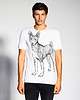 t-shirty męskie Basenji Dog Men's T-shirt white