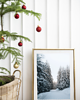 fotografia PLAKAT  zimowy śnieg góry las