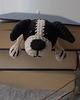zakładki do książek Zakładka do Książki Pies Border Collie