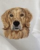 t-shirt damskie Koszulka GOLDEN RETRIEVER  100% bawełna