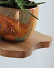 półki Półka ścienna pływająca z drewna orzecha włoskiego 19 na 17 cm