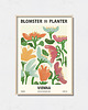 plakaty Plakat botaniczny "Vienna"