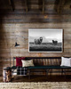 fotografia PLAKAT fotografia owca owce góry czarno biała