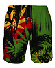 spodnie męskie Shorty Kąpielowe Męskie DR.CROW Rasta Lion