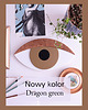 Ozdoby na ścianę Oko 3D  Dragon green