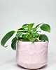 doniczki Osłonka na kwiatek Pink Milk Shake