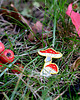 przypinki Pin "Muchomory"