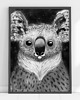 plakaty Plakat Miś Koala