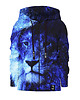 bluzy dla chłopców Bluza Zamek Chłopiec DR.CROW Shinning Lion