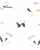 obrazy i plakaty do pokoju dziecięcego Tapeta  dla dzieci Szare Pelikany (Grey Pelican)