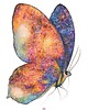 plakaty Plakat Indian summer