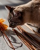 Zabawki dla zwierząt Wędka z rzemieniami THREE CRAZY CATS złota