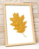 obrazy Obraz Botaniczny 3D. Złoty Liść Dąb 20x30cm. Golden Oak Leaf Wall Art