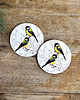 podkładki do kuchni Podkładki pod kubek- Sikorki bogatki-  Ilustracja- Great Tit coasters