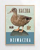 plakaty Plakat Kaczka (wcale nie) dziwaczka