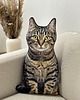 poduszki z grafiką Poduszka Kot Domowy Pręgowany Dachowiec Tabby