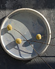 patery i talerze Medium_plate