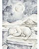 obrazy i plakaty do pokoju dziecięcego Lovely Bear Poster White / denim