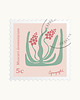 plakaty Szafirek/ seria Herbarium plakat 40x40 cm