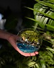 dodatki - różne Terrarium natura zamknięta w szkle