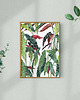 grafiki i ilustracje Begonia - ilustracja botaniczna