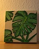 obrazy Monstera - akryl