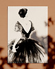 grafiki i ilustracje Black Dress print A3