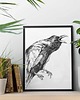 grafiki i ilustracje Kruk