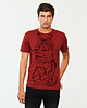 t-shirty męskie Maine Coon Cat Men's T-shirt marsala